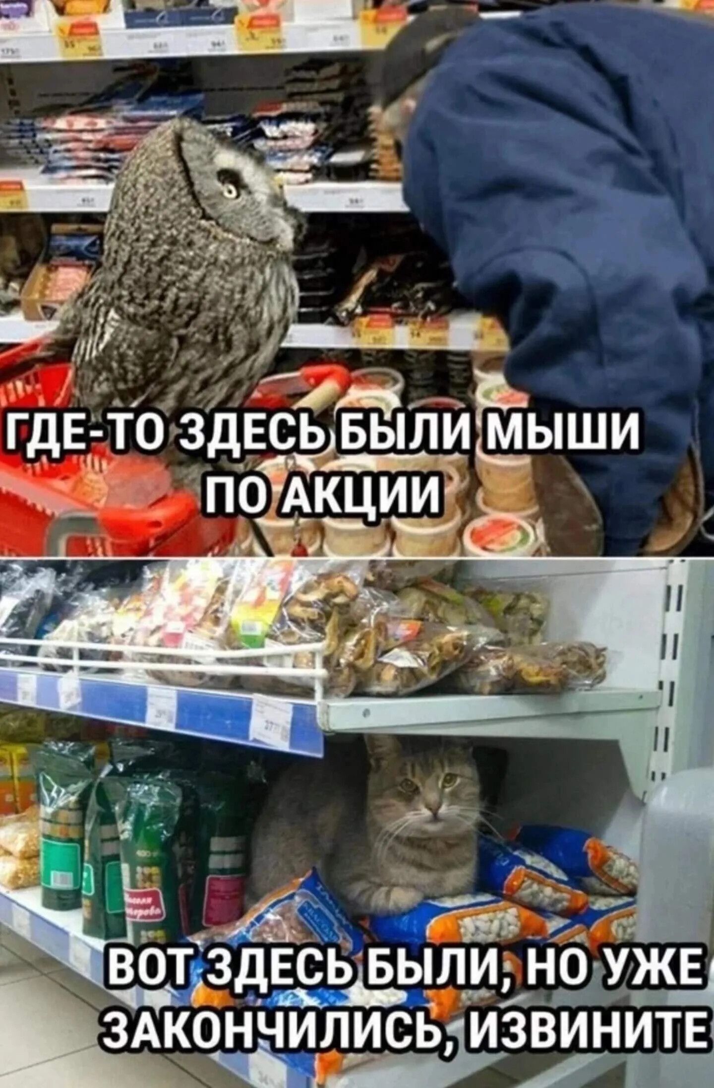 о ВОТЗДЕСЬ БЫЛИ НОУЖЕ ЗАКОНЧИЛИСЬЯИЗВИНИТЕ р