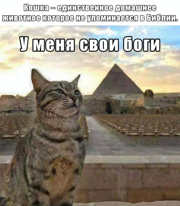 Вогт ухуСоиЛСТОХОХ ДхуОСО ркиволноелколороенеупоминаелсявБиолииЗ ШШШВЬдШ