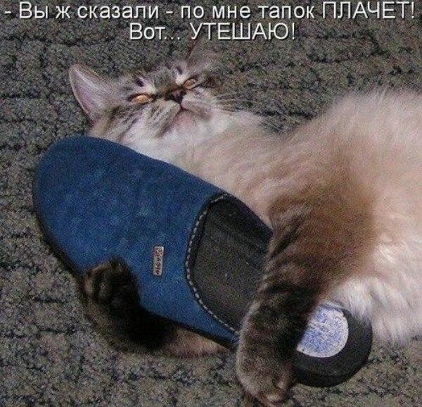 Вы ж сказали то мне тапок ПЛАЧЕТ я ВотУТЕШАЮ Ф