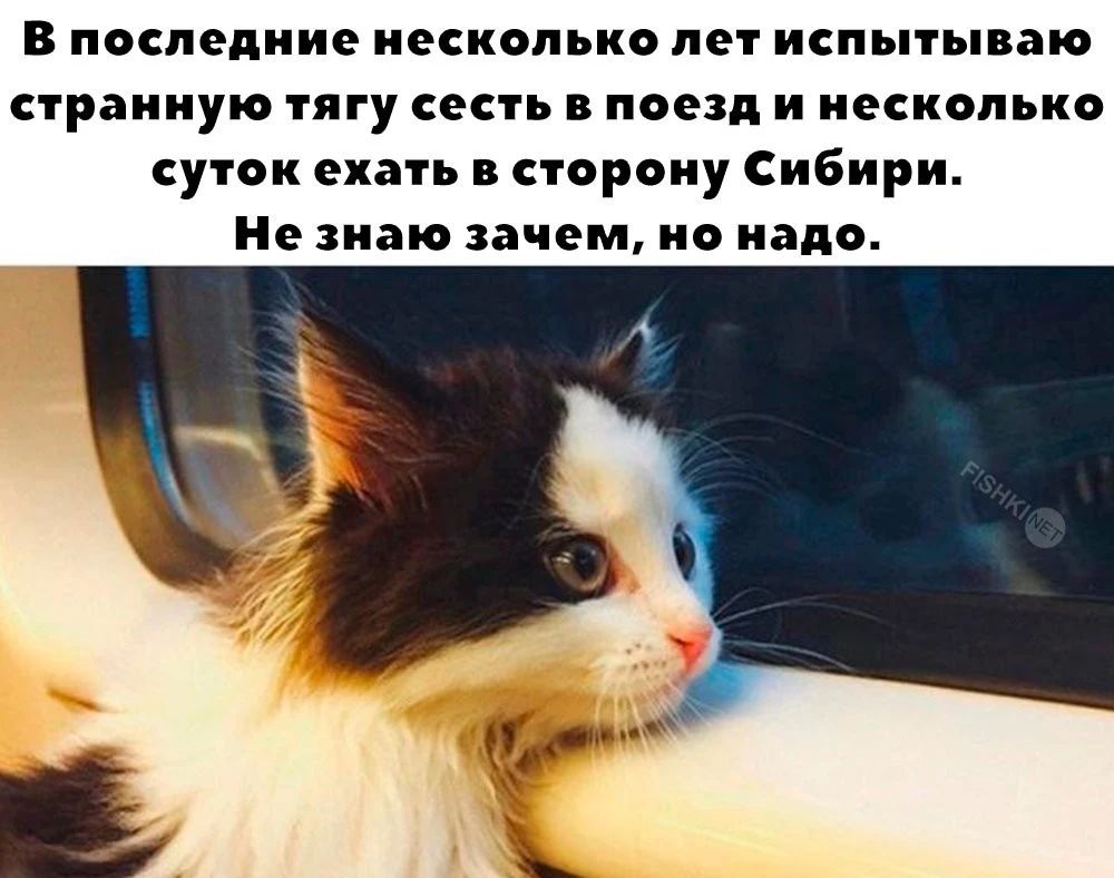 В последние несколько лет испытываю странную тягу сесть в поезд и несколько суток ехать в сторону Сибири Незнаю зачем но надо