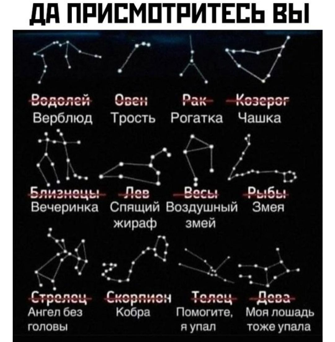 ДА ПРИСМОТРИТЕСЬ ВЫ Водслей Озен Рак Козерог Верблюд Трость Рогатка Чашка Лев Е сь Рыб Вечериа Спящий Воздушный Змея жираф змей Стрелец Скорпион Телец Дева Ангел без Кобра Помогите Моя лошадь головы яупал тоже упала