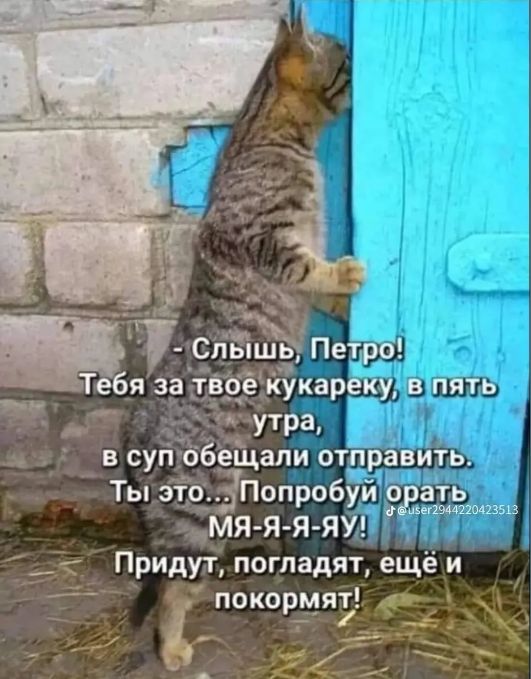 И слёшь Петро я за т рЁЙкареку В ПЯТЬ вТ к ЁТРЗ ещали отправить аТЬ уа еаова22о42з12