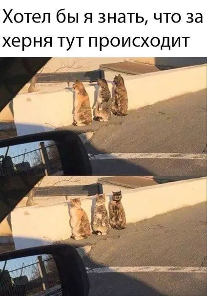 Хотел бы я знать что за херня тут происходит