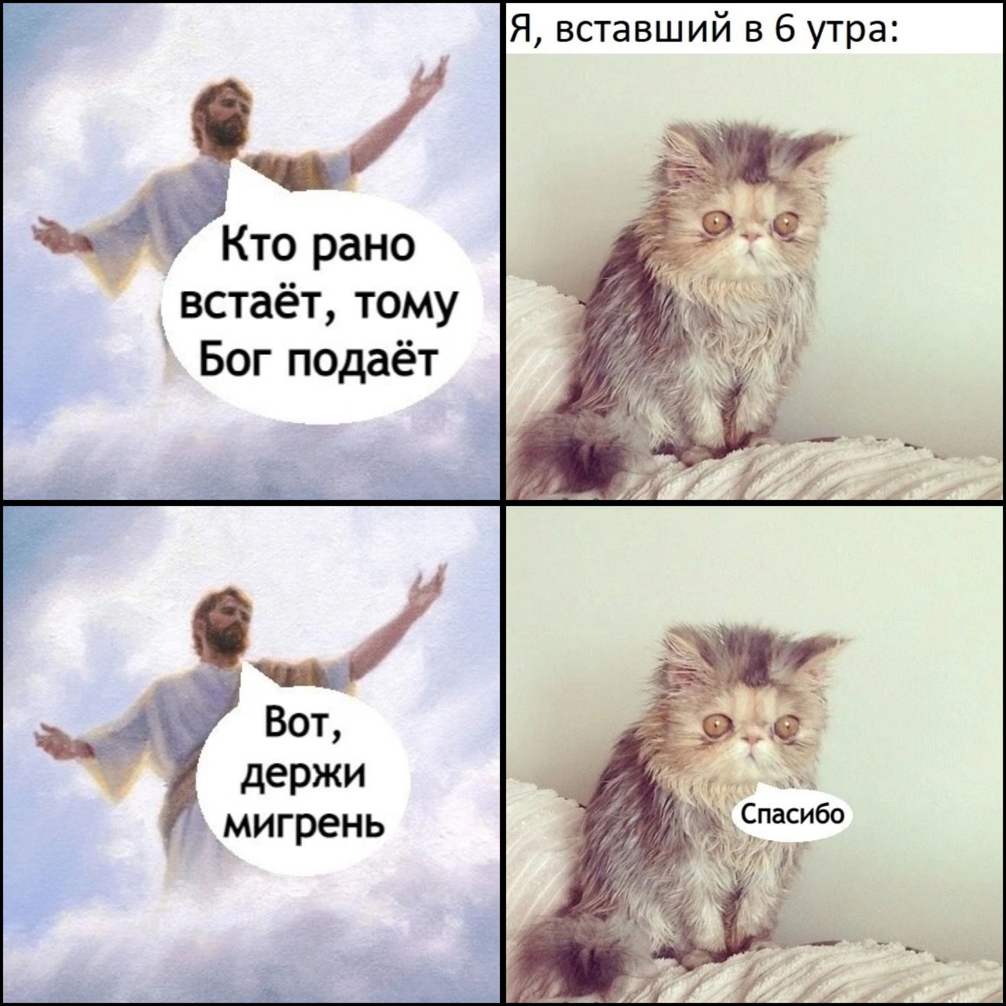 Я вставший в 6 утра Кто рано встаёт тому Бог подаёт Вот держи мигрень