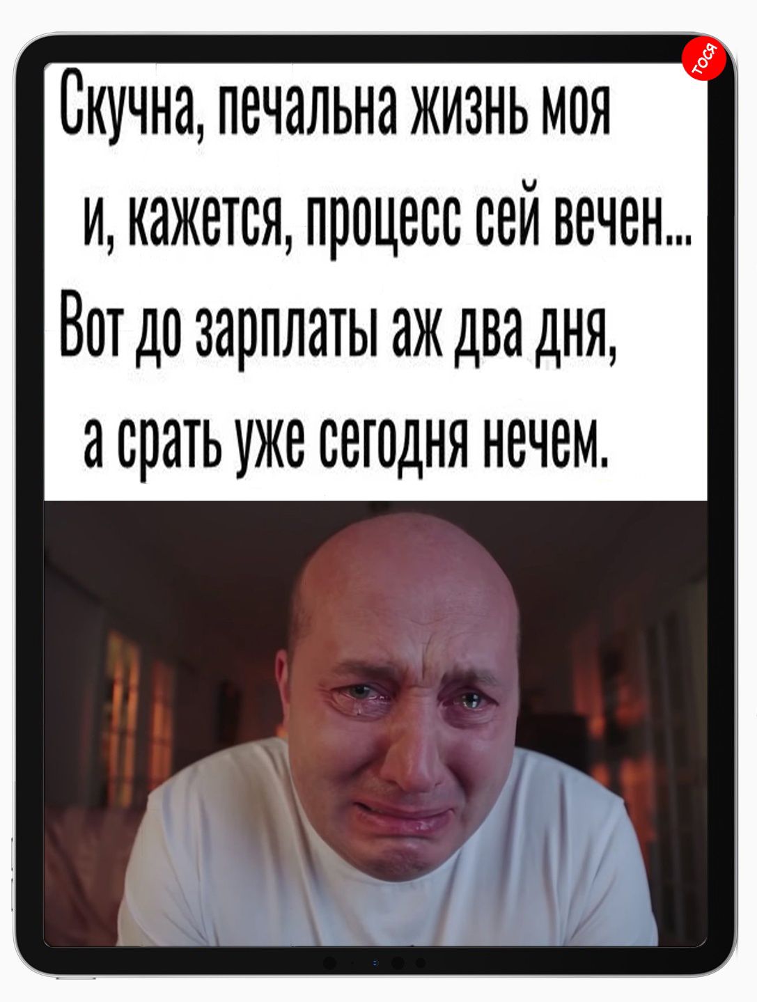 Скучна печальна жизнь моя кажется процесс сей вечен Вотдо зарплаты аж два дня а срать уже сегодня нечен