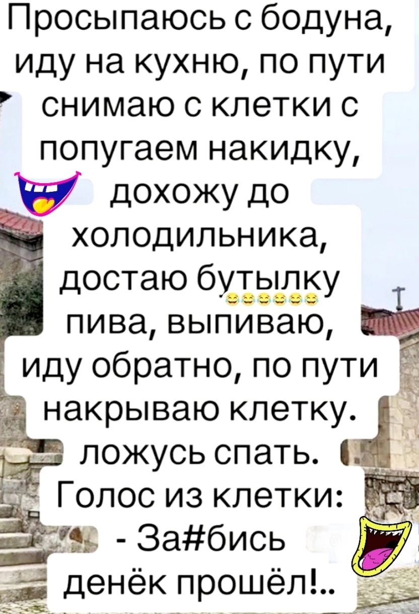 Просыпаюсь с бодуна иду на кухню по пути снимаю с клетки с попугаем накидку дохожу до я холодильника достаю бутылку пива выпиваю иду обратно по пути накрываю клетку ложусь спать _ __Забисп за денёк прошёл