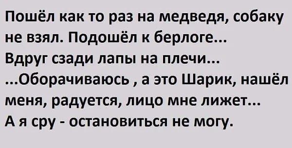 Пошёл как то раз на медведя собаку не взял Подошёл к берлоге Вдруг сзади лапы на плечи Оборачиваюсь а это Шарик нашёл меня радуется лицо мне лижет Ая сру остановиться не могу