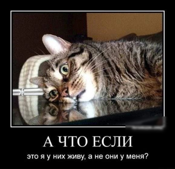 А ЧТО ЕСЛИ это я у них живу а не они у меня