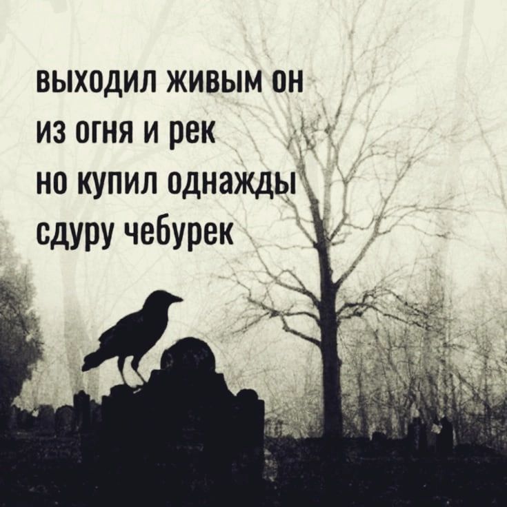 ВЫХОДИЛ ЖИВЫМ 0Н из огня и рек Мх но купил однажды сдуру чебурек