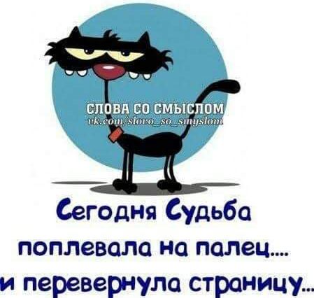 поплевала на палец и перевернула страницу