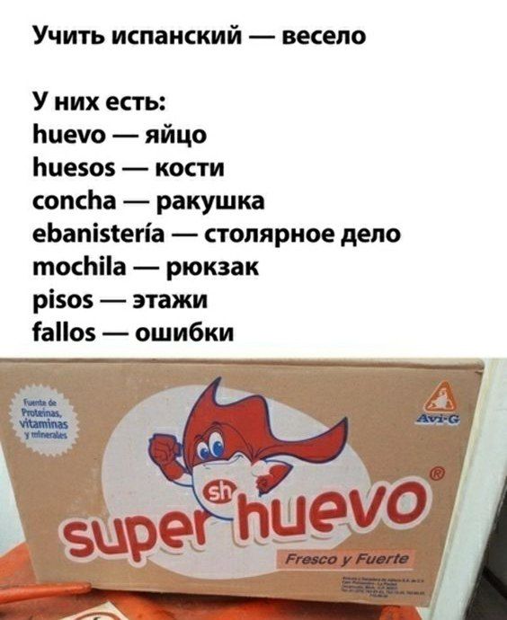 Учить испанский весело У них есть Пиеуо яйцо иезо5 кости сопсба ракушка ебат5бета столярное дело тосййа рюкзак р1505 этажи Фао5 ошибки
