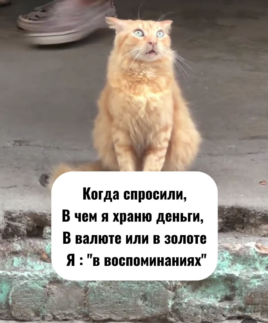 Когда спросили В чем я храню деньги В валюте или в золоте Я в воспоминаниях _