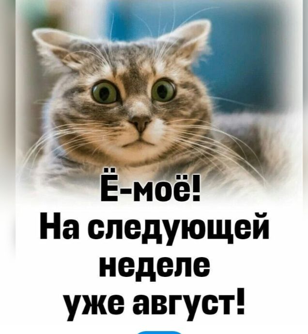 На спедуи щей неделе уже август