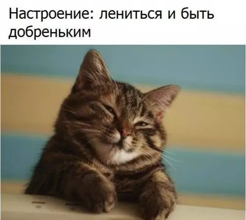 Настроение лениться и быть добреньким