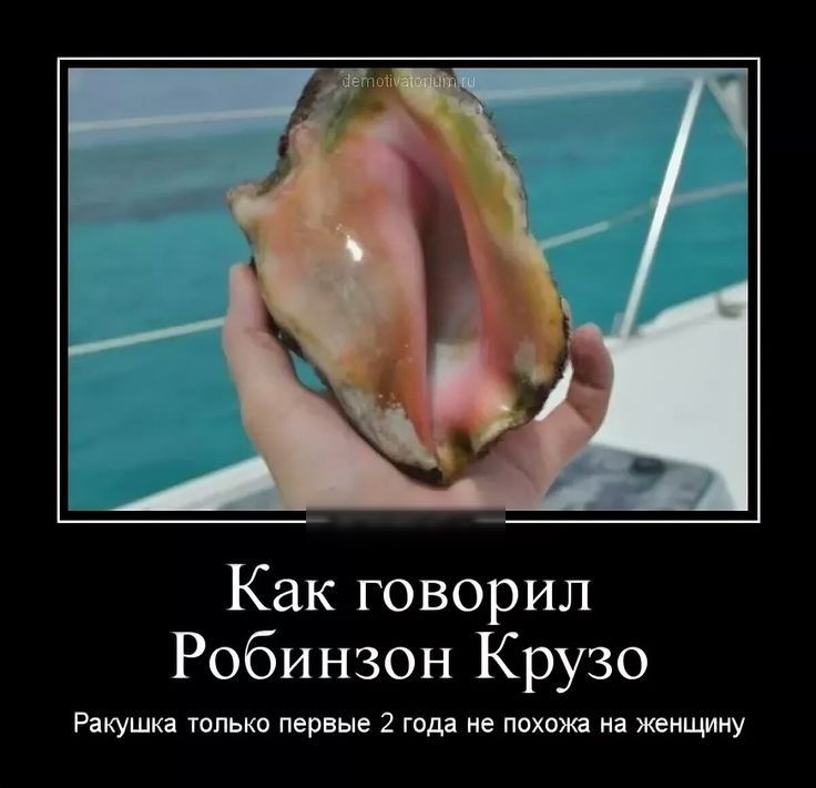 Как говорил Робинзон Крузо Ракушка только первые 2 года не похожа на женщину