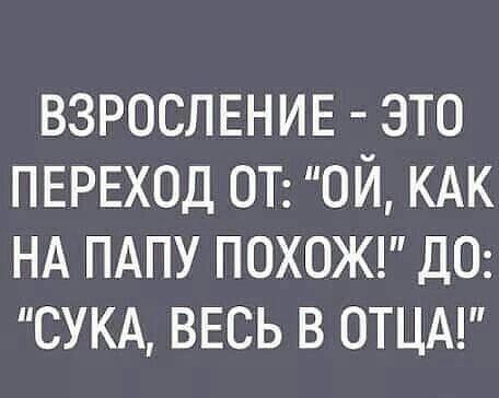 ВЗРОСЛЕНИЕ ЭТО ПЕРЕХОД ОТ ОЙ КАК НА ПАПУ ПОХОЖ ДО СУКА ВЕСЬ В ОТЦА