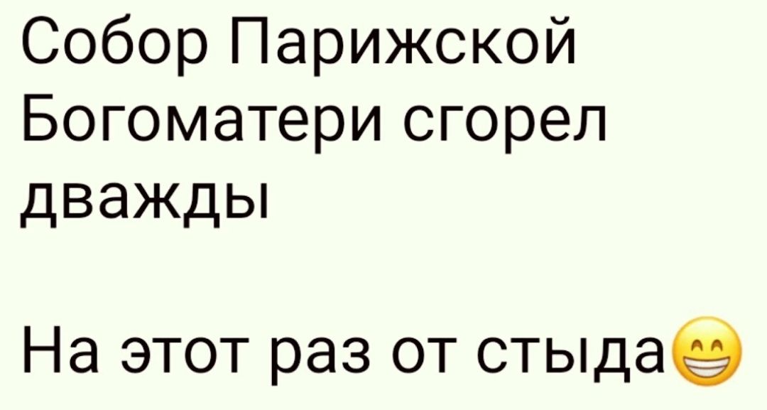 Собор Парижской Богоматери сгорел дважды На этот раз от стыда5