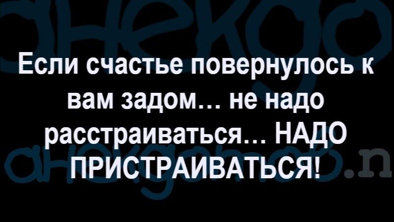 Если счастье повернулось к вам задом не надо расстраиваться НАДО ПРИСТРАИВАТЬСЯ