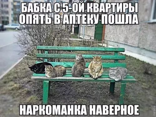 НАРКОМАНКА НАВЕРНОЕ