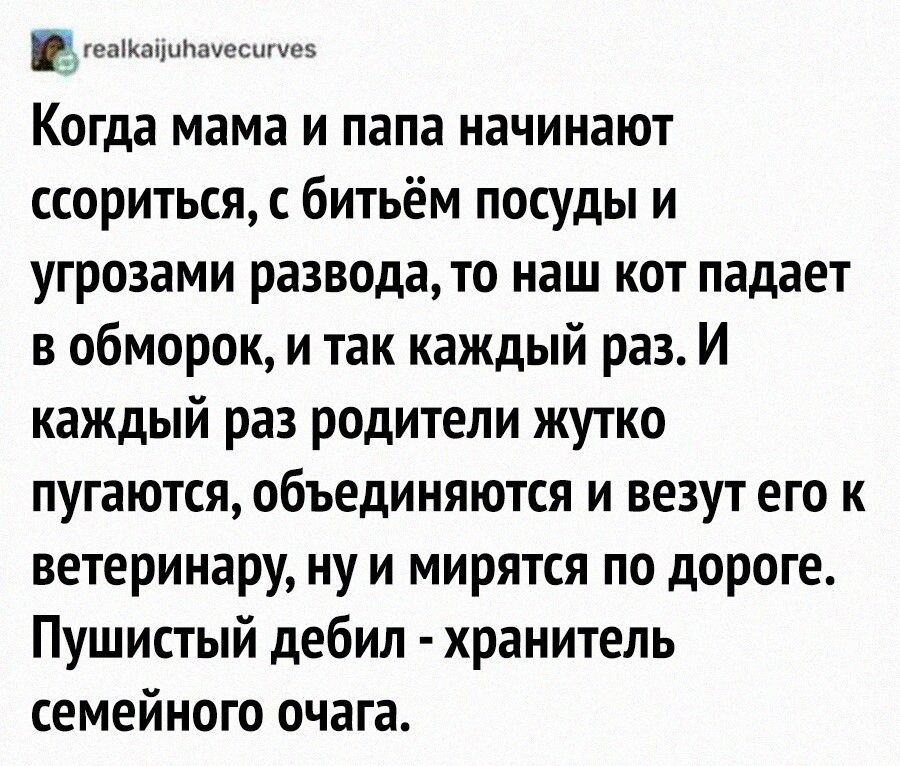 геоойапауесигуе5 Когда мама и папа начинают ссориться с битьём посуды и угрозами развода то наш кот падает в обморок и так каждый раз И каждый раз родители жутко пугаются объединяются и везут его к ветеринару ну и мирятся по дороге Пушистый дебил хранитель семейного очага