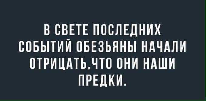 В СВЕТЕ ПОСЛЕДНИХ СОБЫТИЙ ОБЕЗЬЯНЫ НАЧАЛИ ОТРИЦАТЬЧТО ОНИ НАШИ ПРЕДКИ