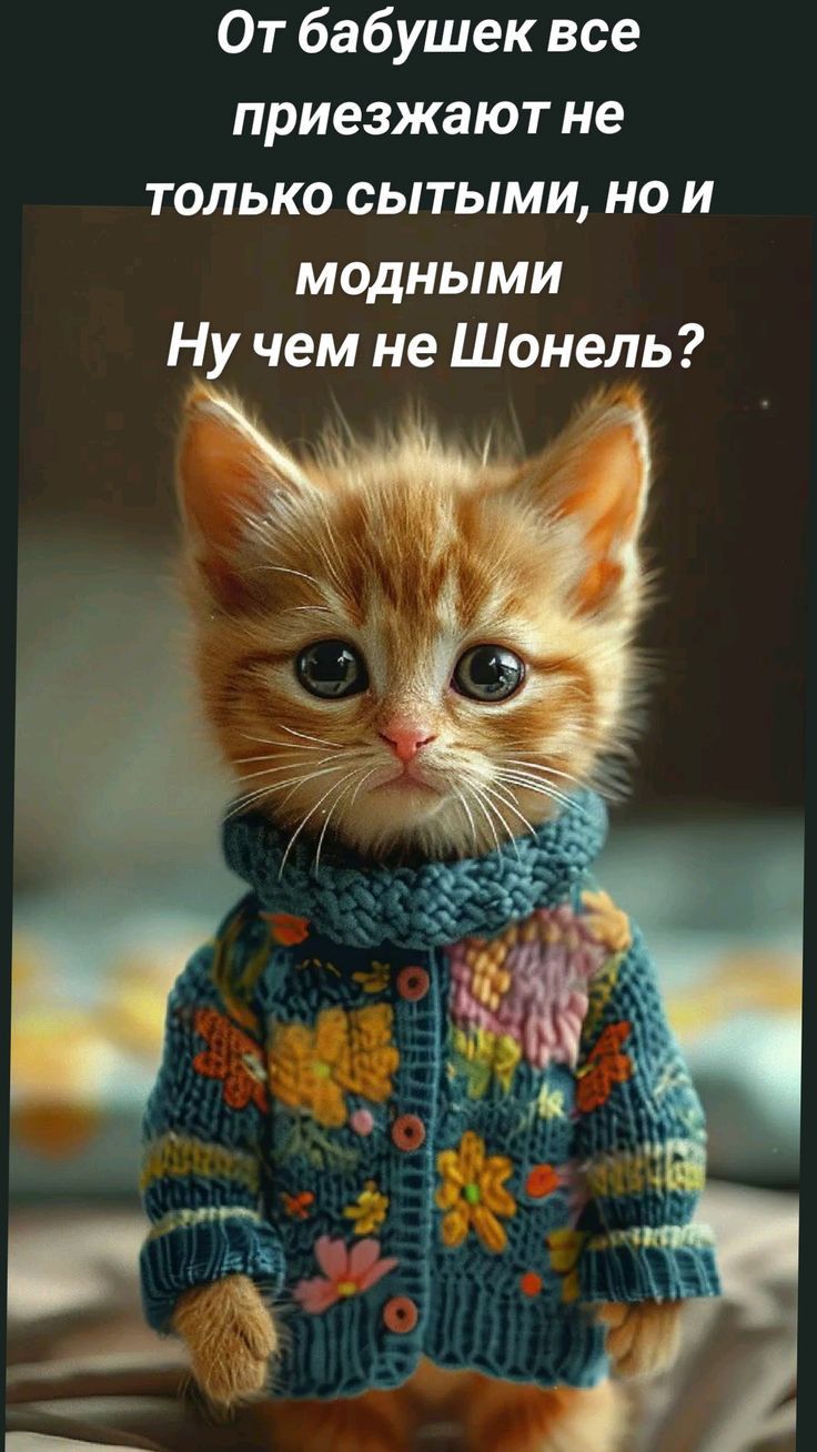 От бабушек все приезжают не только сытыми но и МодНЫМИ Нучем не Шонель