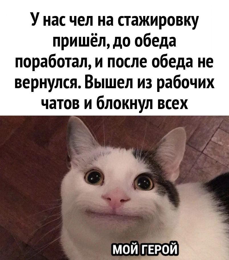 У нас чел на стажировку пришёл до обеда поработал и после обеда не вернулся Вышел из рабочих чатов и блокнул всех МОЙ ГЕРОЙ