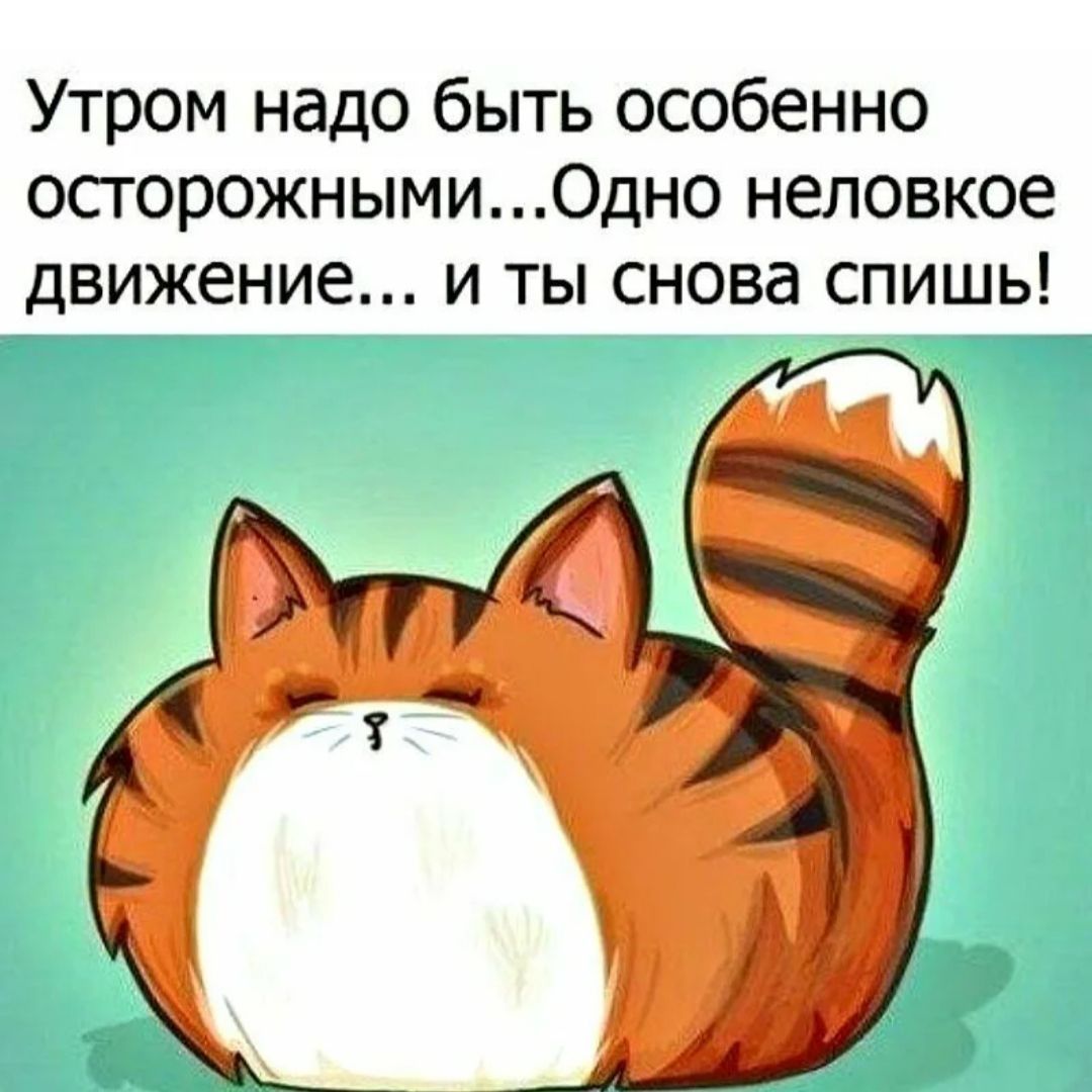 Утром надо быть особенно осторожнымиОдно неловкое движение и ты снова спишь
