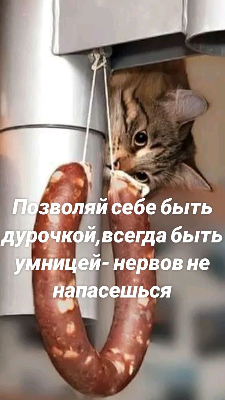 оляй себе быть о нервовне сгідс