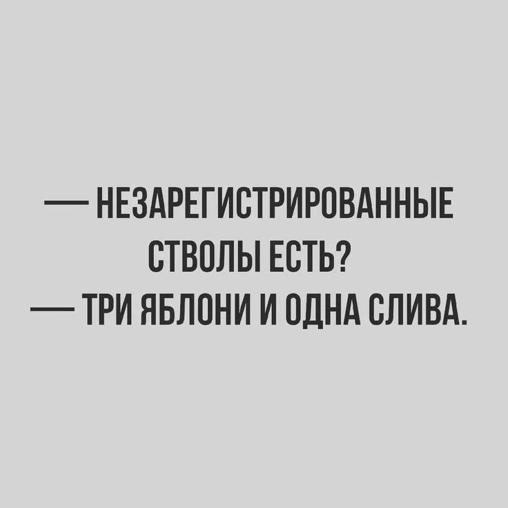 НЕЗАРЕГИСТРИРОВАННЫЕ СТВОЛЫ ЕСТЬ ТРИ ЯБЛОНИ И ОДНА СЛИВА