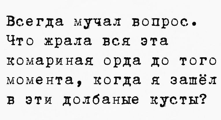 Всегда мучал вопрос Что жрала вся эта комариная орда до того момента когда я зашёл в эти долбаные кусты