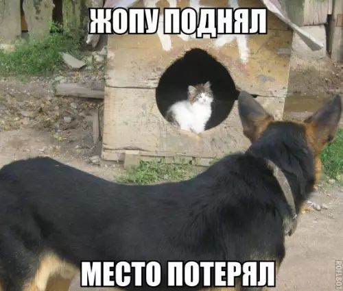 оа ЗМЕСТО ПОТЕРЯ Ф