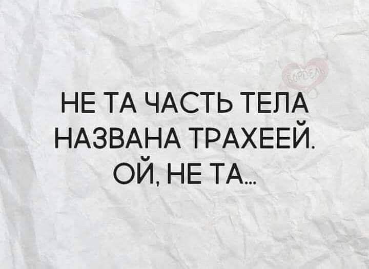 НЕ ТА ЧАСТЬ ТЕЛА НАЗВАНА ТРАХЕЕИ ОИ НЕ ТА