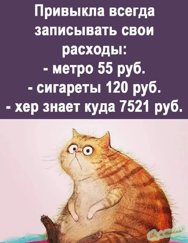 Привыкла всегда записывать свои расходы метро 55 руб сигареты 120 руб хер знает куда 7521 руб