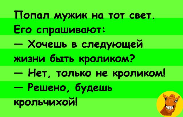 Попал_мужик на _тот свет Его спрашивают Хочешь в следующей жизни быть кроликом Нет только не кроликом Решено будешь крольчихой Э
