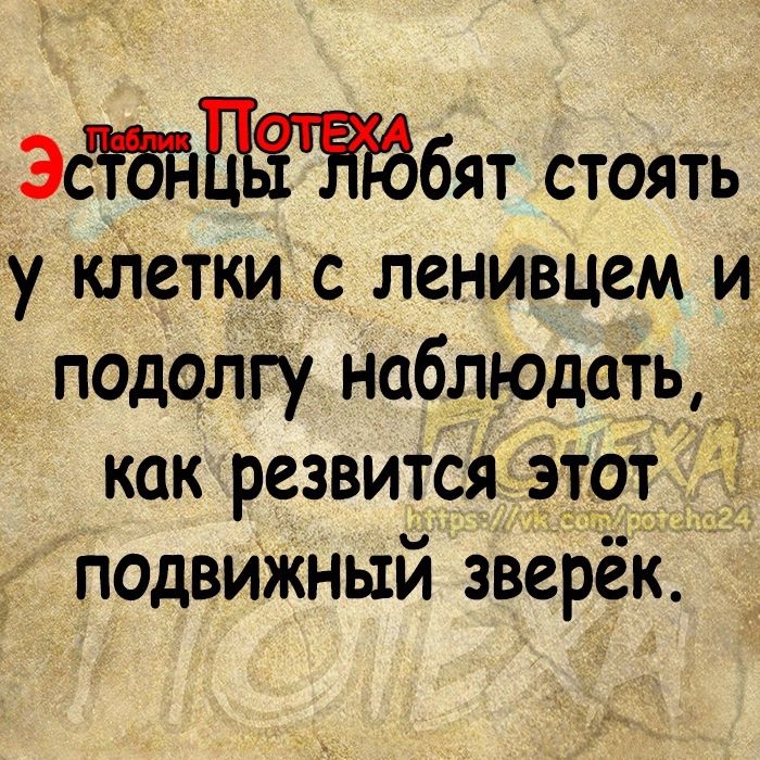 Эсбят стОятЬ у клетки с ленивцем и подолгу наблюдать какрезвится этот подвижный зверёк