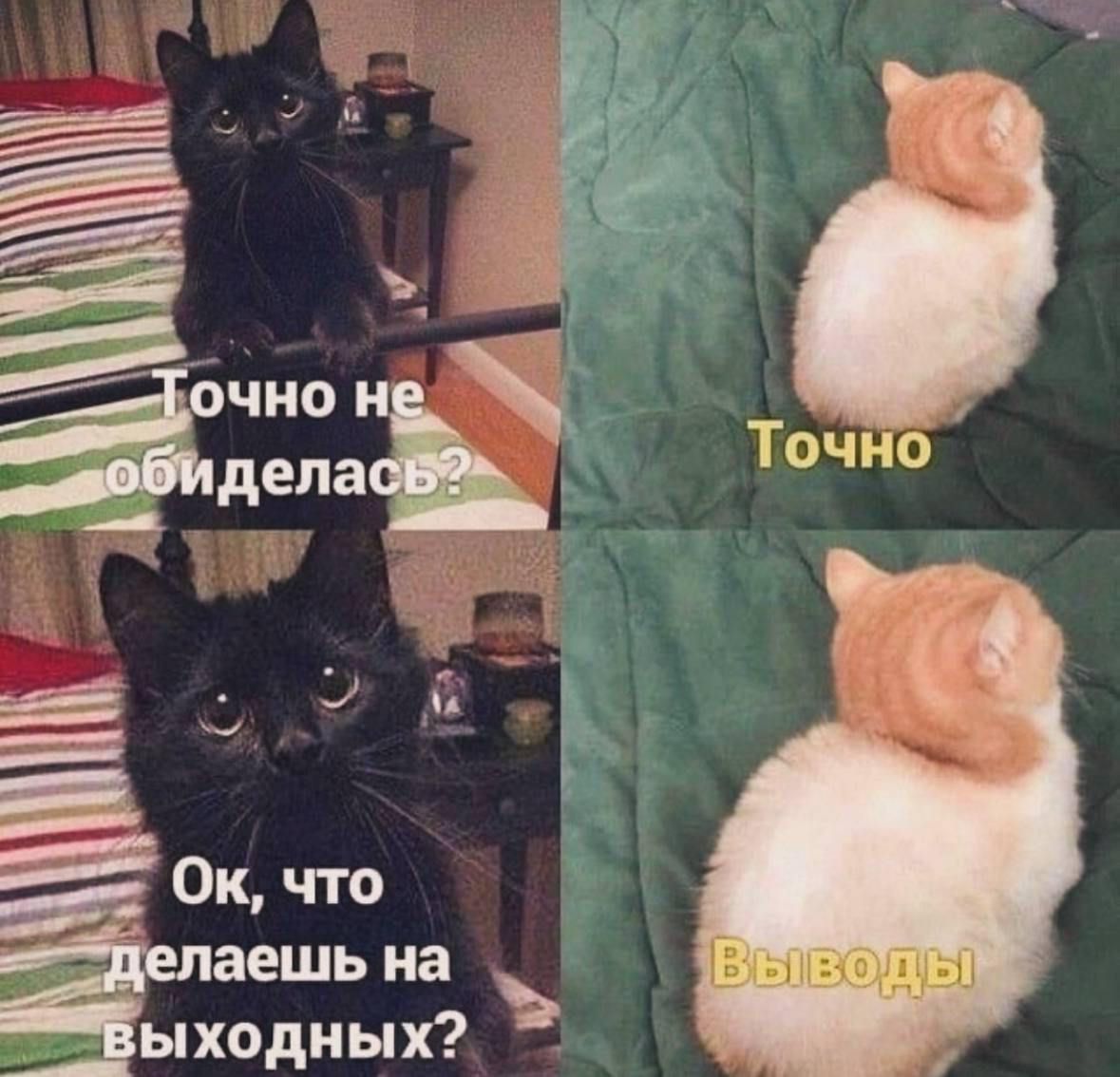 а Ок что аешь на ыходных
