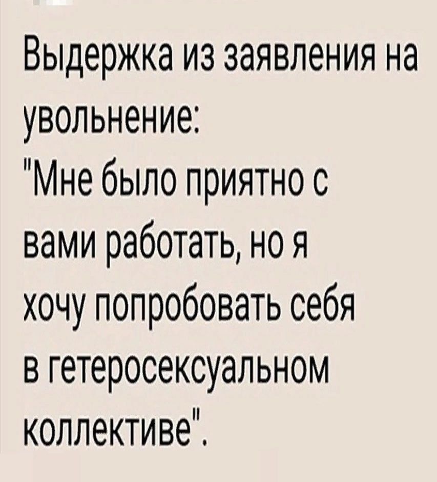 Выдержка из заявления на увольнение Мне было приятно с вами работать но я хочу попробовать себя в гетеросексуальном коллективе