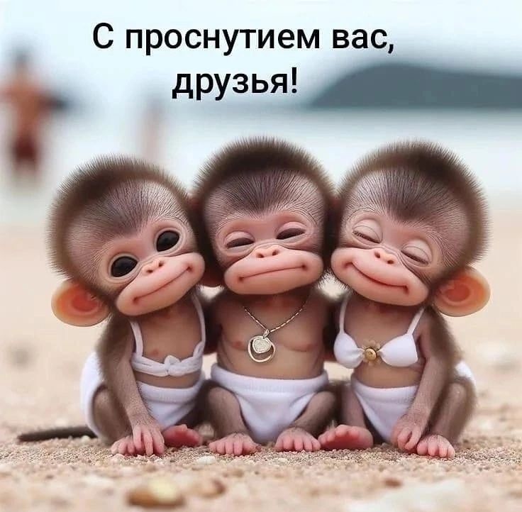 С проснутием вас друзья