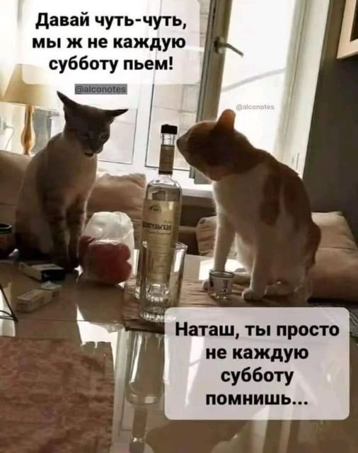 Давай чуть чуть мы ж не каждую субботу пьем Наташ ты просто не каждую субботу помнишь