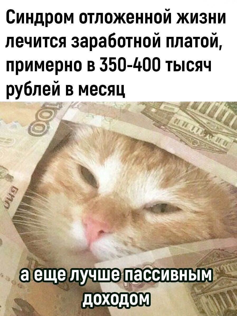 Синдром отложенной жизни лечится заработной платой примерно в 550 400 тысяч рублей в месяц