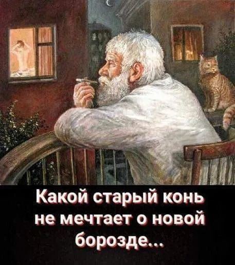 1 ИЛ в Какой старыи конь не мечтает о новой борозде