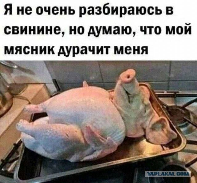 Я не очень разбираюсь в свинине но думаю что мой мясник дурачит меня рт