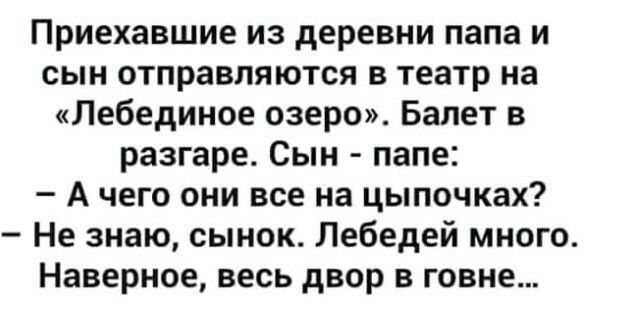 Приехавшие из деревни папа и сын отправляются в театр на Лебединое озеро Балет в разгаре Сын папе Ачего они все на цыпочках Не знаю сынок Лебедей много Наверное весь двор в говне