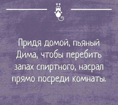 Придя домой пьяный Дима чтобы перебить запах спиртного насрал прямо посреди комнаты