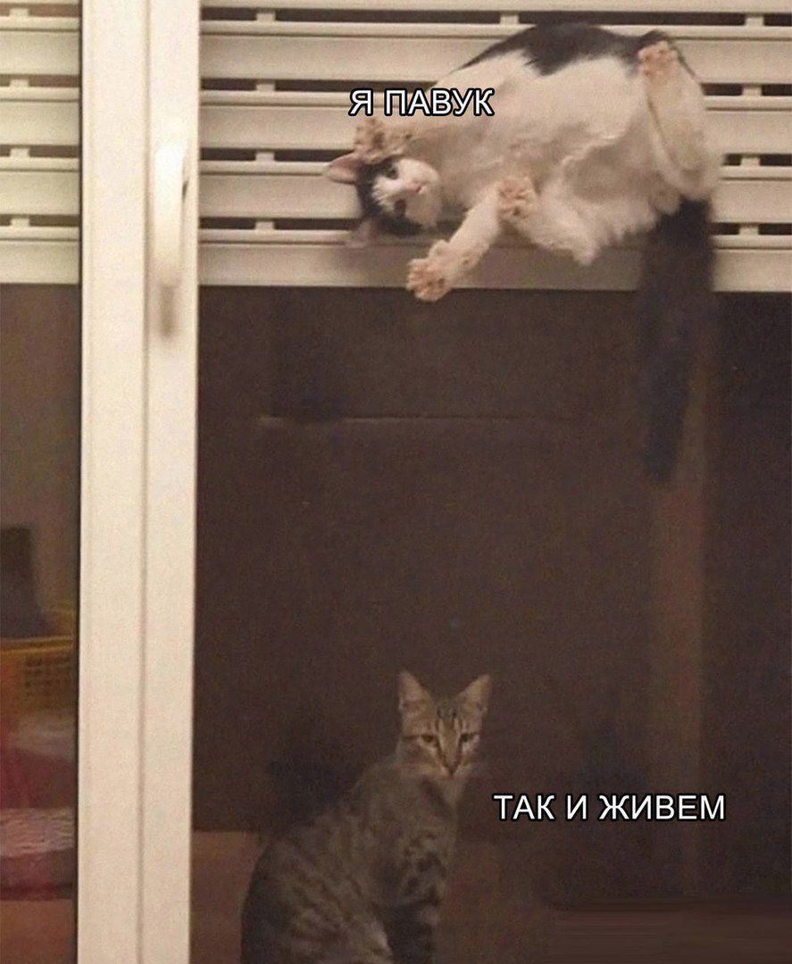 ТАК И ЖИВЕМ