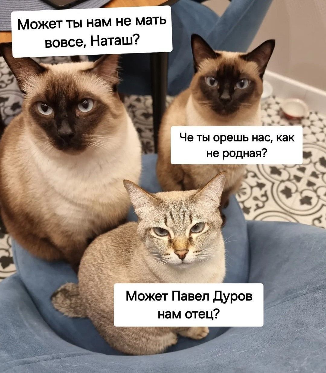 я н 4 ч В Может ты нам не мать вовсе Наташ Че ты орешь нас как не родная