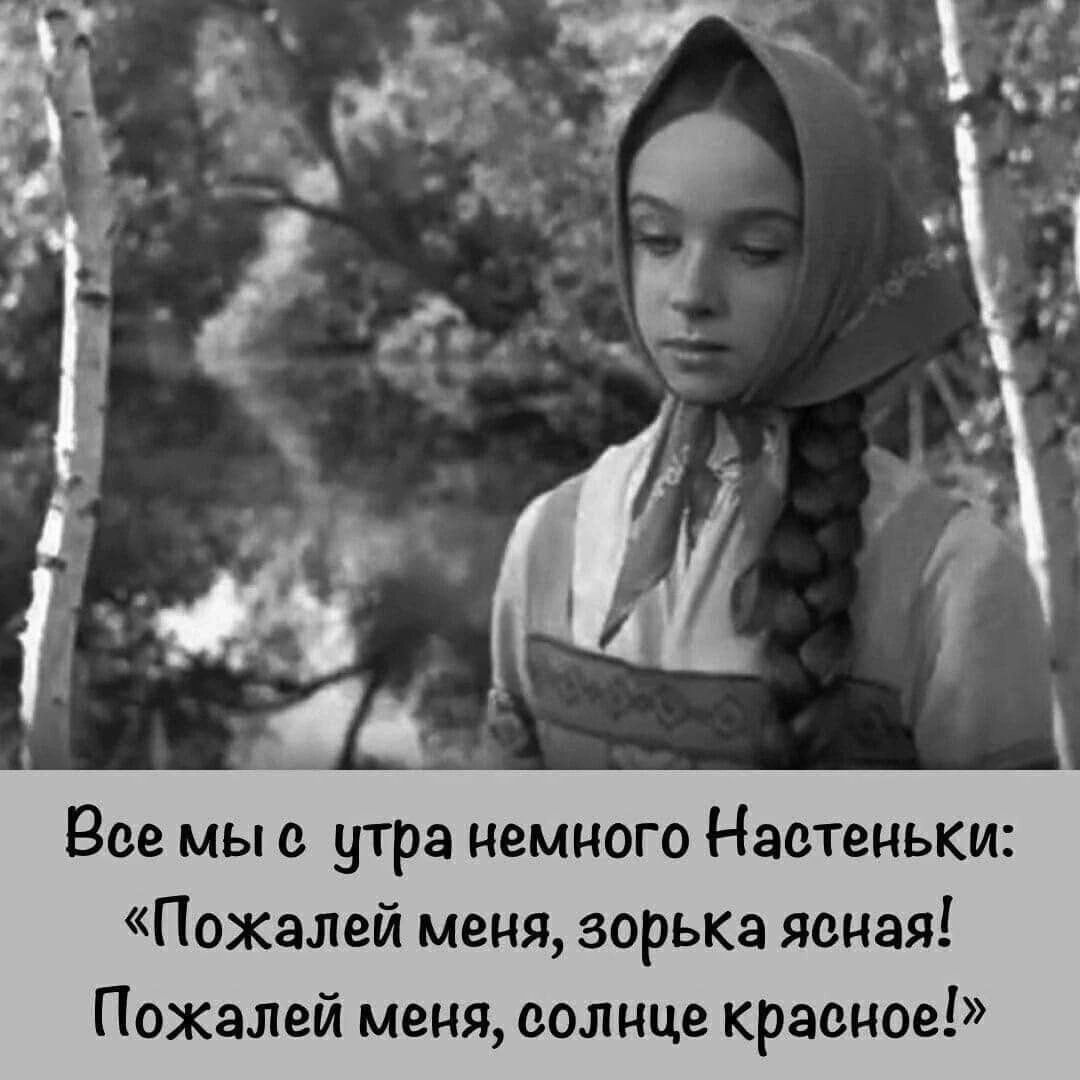 Все мы с утра немного Настеньки Пожалей меня зорька ясная Пожалей меня солнце красное