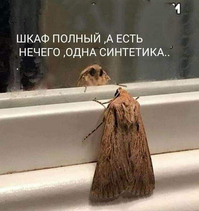 ШКАФ ПОЛНЫЙ А ЕСТЬ НЕЧЕГО ОДНА СИНТЕТИКА