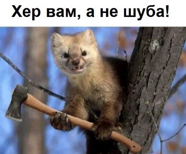 Хер вам а не шуба
